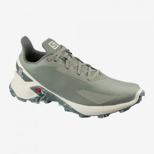 Salomon Alphacross Blast Casual Shoes Gray | ALCY-95137