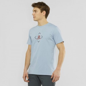 Salomon Salomon Cotton Tee M T Shirts Blue | BWPA-85742