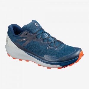 Salomon Sense Ride 3 Gtx Invis. Fit Trail Running Shoes Blue | NLRC-53690