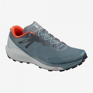 Salomon Sense Ride 3 Trail Running Shoes Gray | VKJX-91075