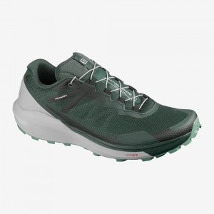 Salomon Sense Ride 3 Trail Running Shoes Green | XFVD-89243