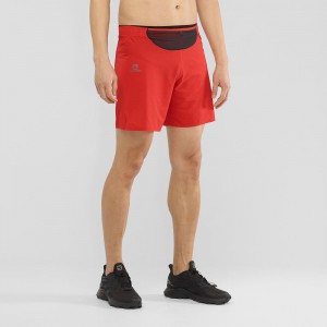 Salomon Sense Short M Shorts Red | RBPK-13657