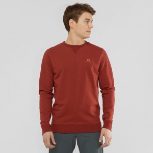 Salomon Shift Crewneck M Pullover Red | ZJPR-01256