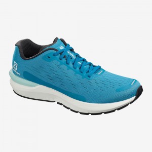 Salomon Sonic 3 Balance Running Shoes Blue | FKBE-86249