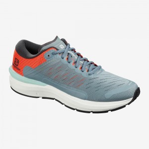 Salomon Sonic 3 Confidence Running Shoes Gray | CMBW-49625