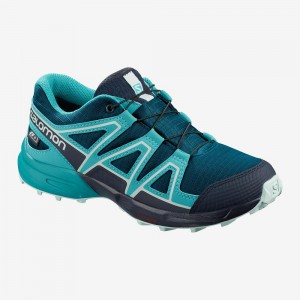 Salomon Speedcross Climasalomon Waterproof Trail Running Shoes Blue | FQDT-16374