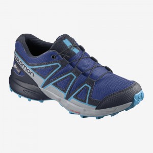 Salomon Speedcross Climasalomon Waterproof Trail Running Shoes Navy | IUGM-69150