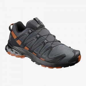 Salomon Xa Pro 3D V8 Gore-Tex Trail Running Shoes Gray | FCPO-71805