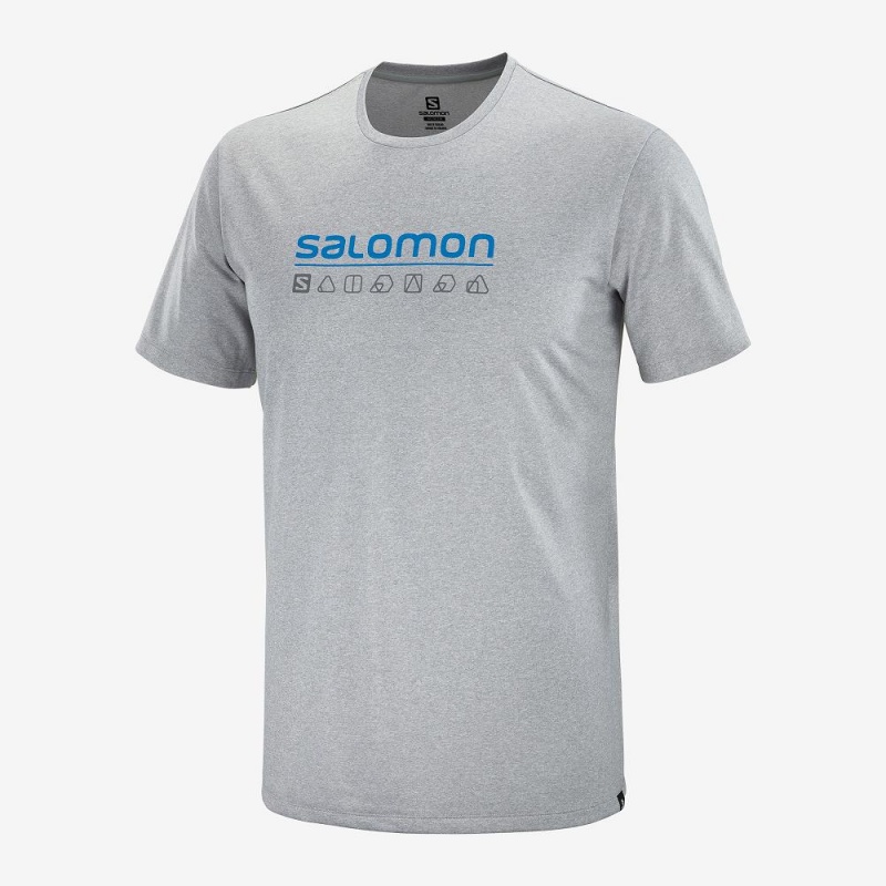 Salomon Agile Graphic Tee M Tops Gray | RTYW-70528