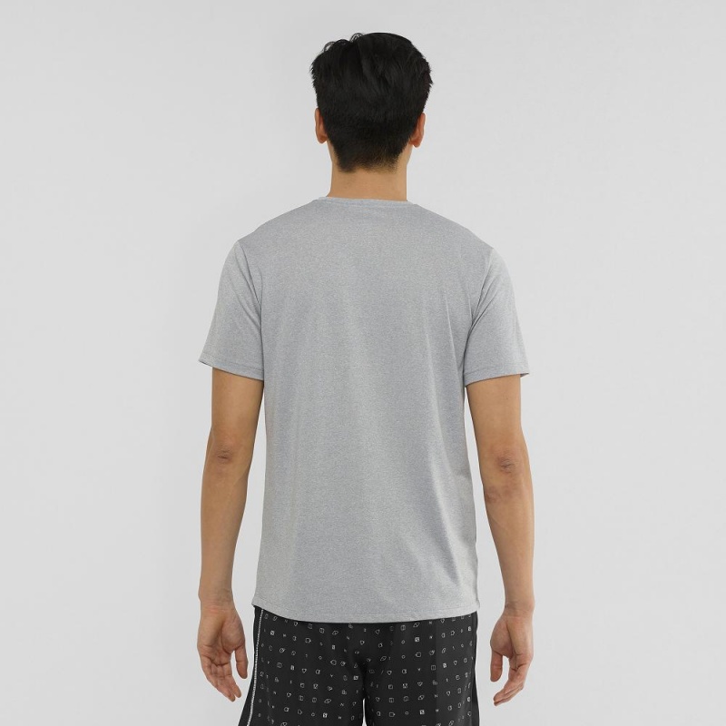 Salomon Agile Graphic Tee M Tops Gray | RTYW-70528