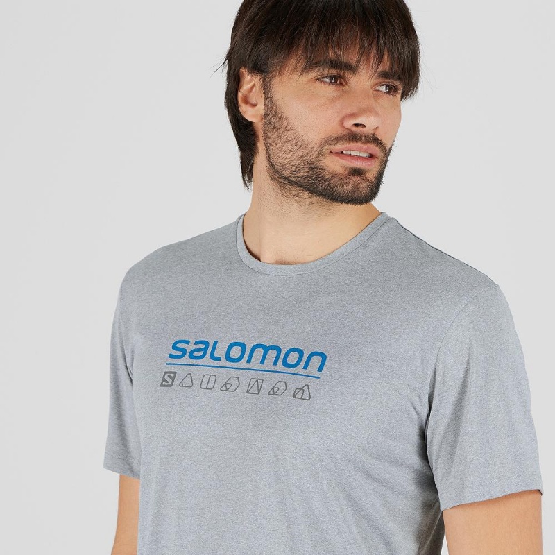 Salomon Agile Graphic Tee M Tops Gray | RTYW-70528