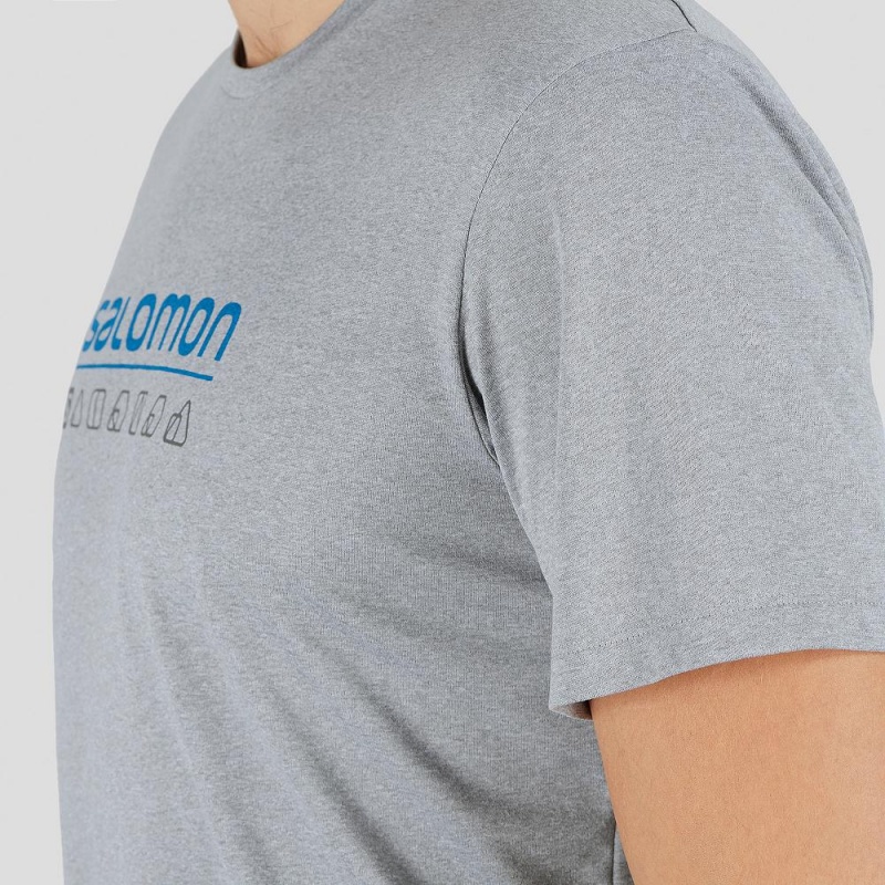 Salomon Agile Graphic Tee M Tops Gray | RTYW-70528