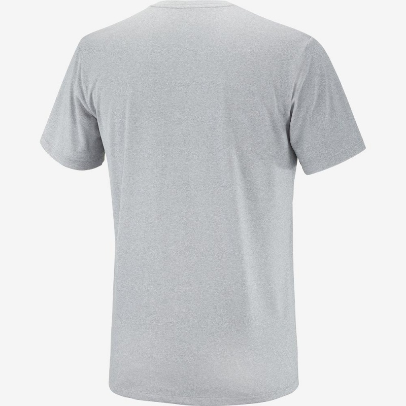 Salomon Agile Graphic Tee M Tops Gray | RTYW-70528