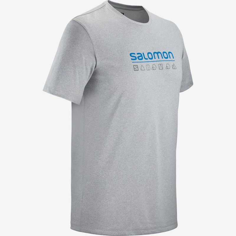 Salomon Agile Graphic Tee M Tops Gray | RTYW-70528