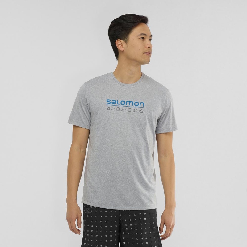 Salomon Agile Graphic Tee M Tops Gray | RTYW-70528