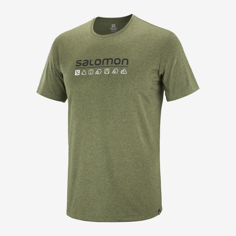 Salomon Agile Graphic Tee M Tops Green | RGDP-71065