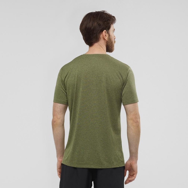 Salomon Agile Graphic Tee M Tops Green | RGDP-71065