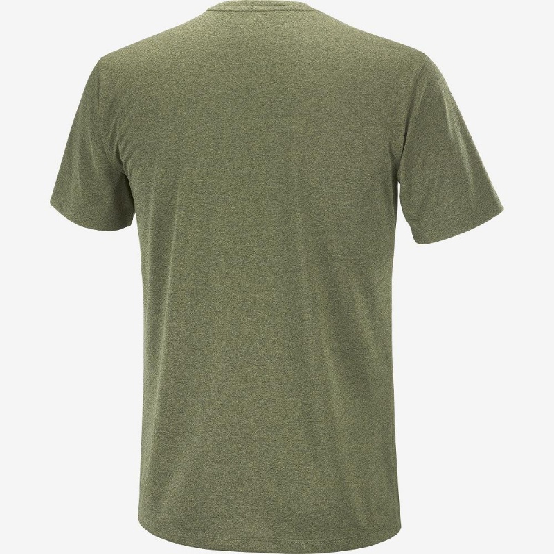 Salomon Agile Graphic Tee M Tops Green | RGDP-71065