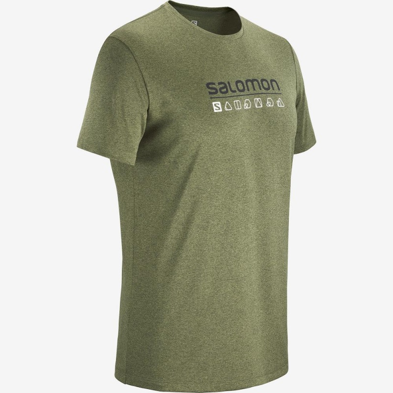 Salomon Agile Graphic Tee M Tops Green | RGDP-71065