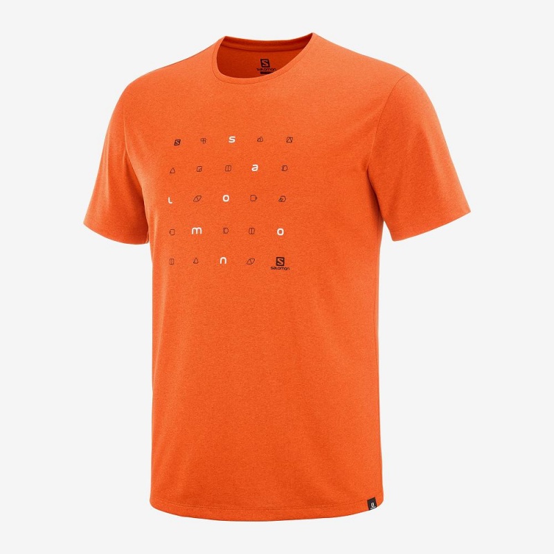 Salomon Agile Graphic Tee M Tops Orange | UZSD-01654