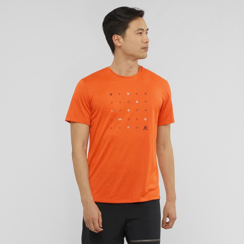 Salomon Agile Graphic Tee M Tops Orange | UZSD-01654