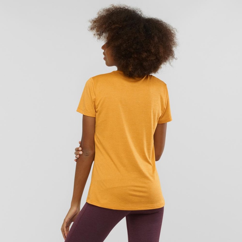 Salomon Agile T Shirts Yellow | CVFI-13782