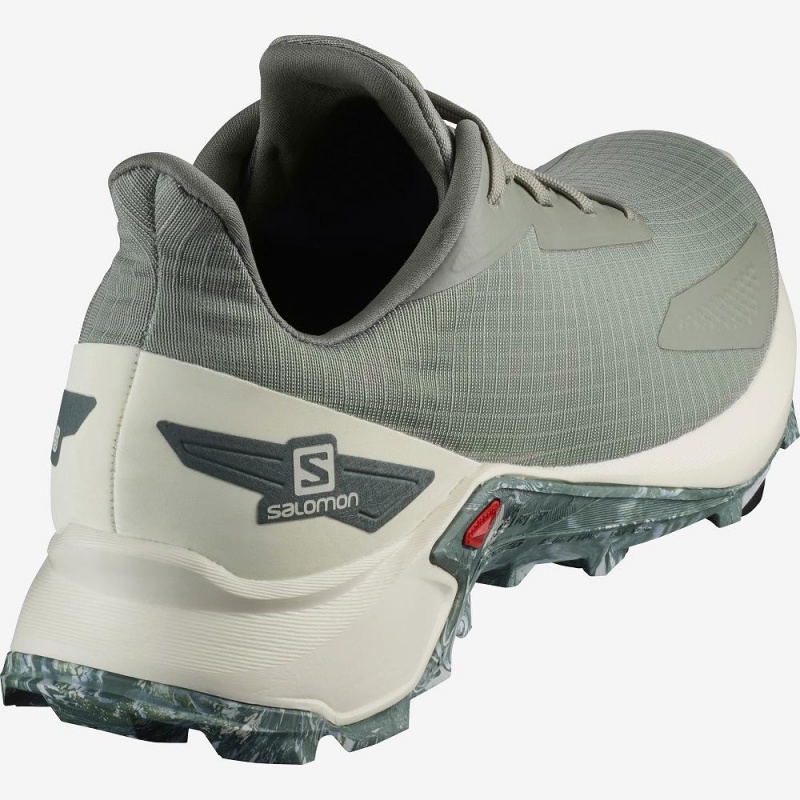 Salomon Alphacross Blast Casual Shoes Gray | ALCY-95137