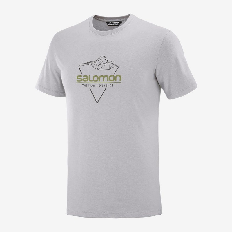 Salomon Blend Logo Tee M T Shirts Gray | WKCN-50214