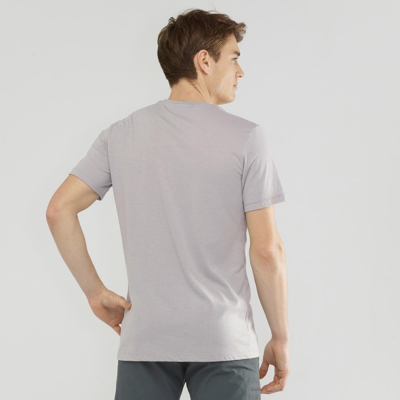 Salomon Blend Logo Tee M T Shirts Gray | WKCN-50214