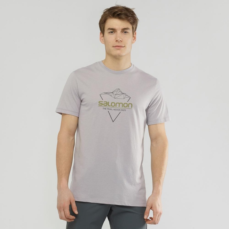 Salomon Blend Logo Tee M T Shirts Gray | WKCN-50214