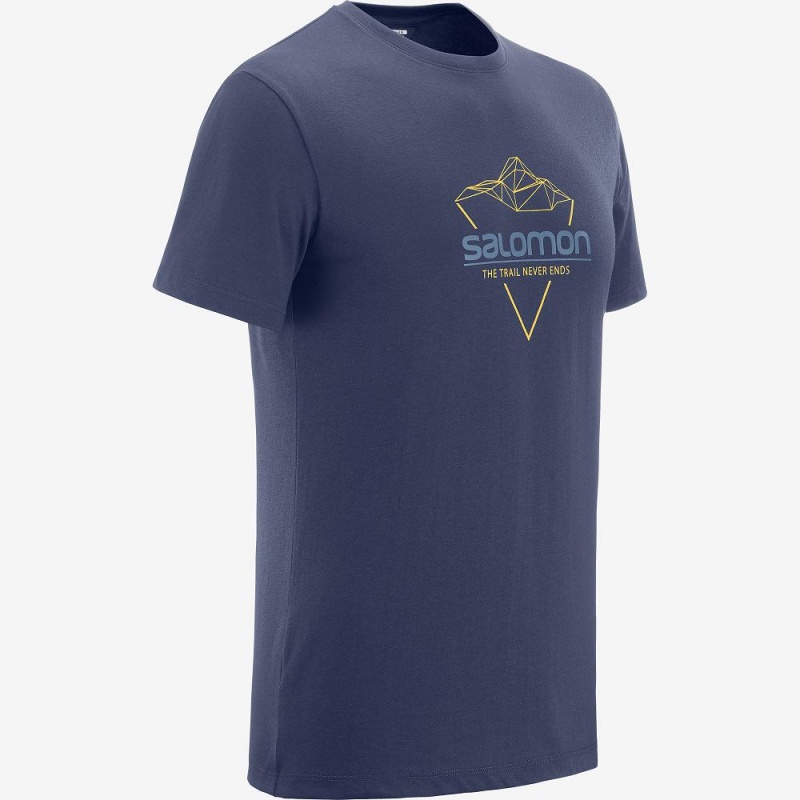 Salomon Blend Logo Tee M T Shirts Navy | EOUJ-96437