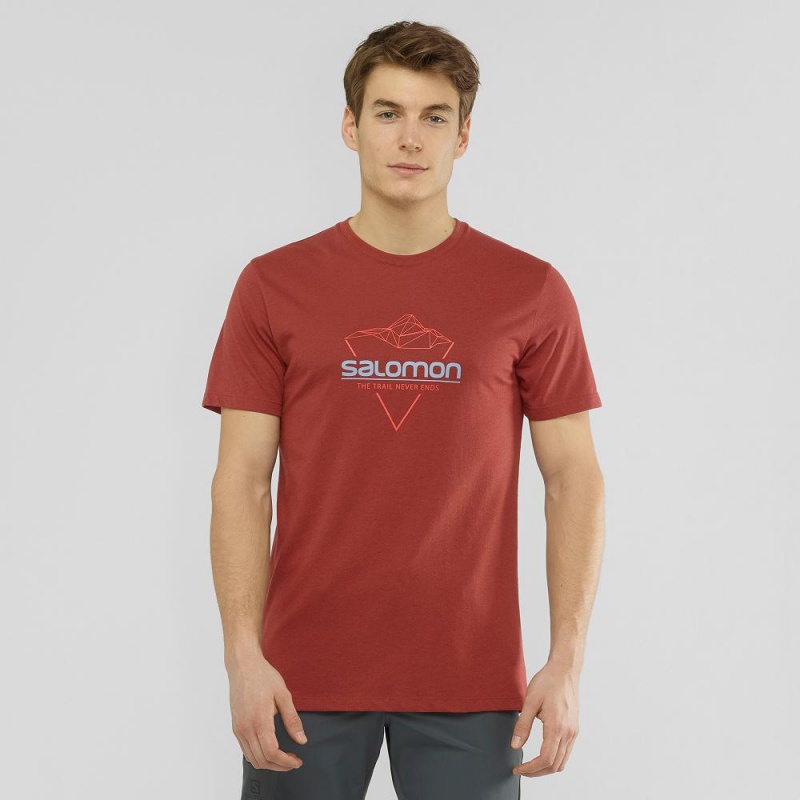 Salomon Blend Logo Tee M T Shirts Red | BCWN-57284