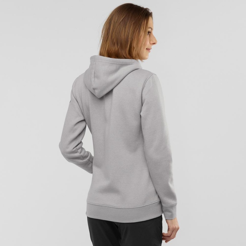 Salomon Essential Warm Hoodie Gray | AUCT-68759