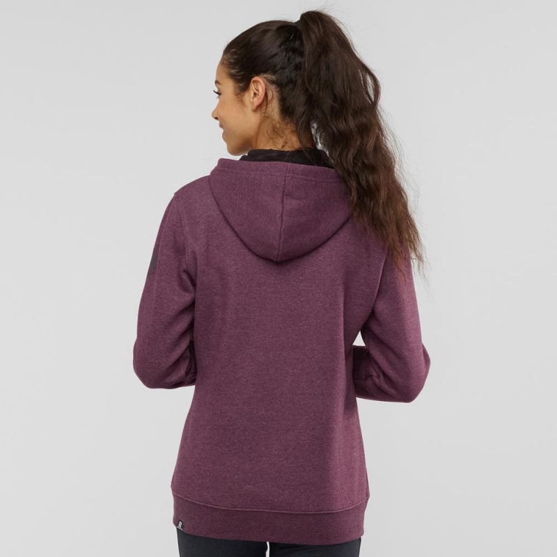 Salomon Essential Warm Hoodie Purple | KBEM-35174