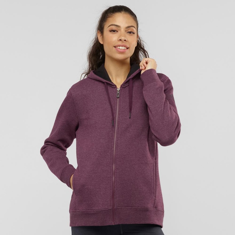 Salomon Essential Warm Hoodie Purple | KBEM-35174