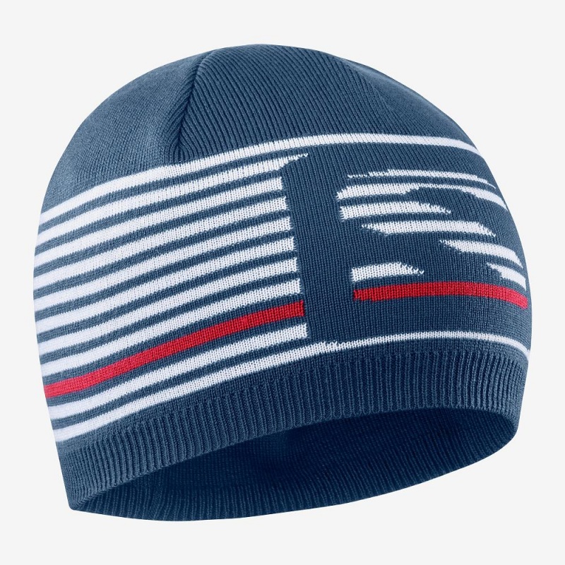 Salomon Flatspin Short Beanie Hats Blue | LNDM-58760