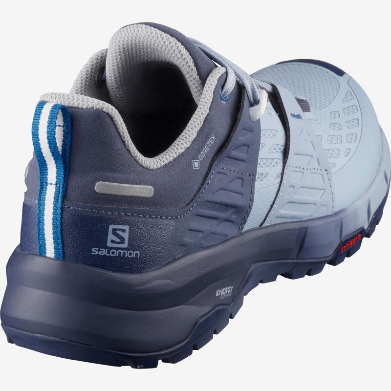 Salomon Odyssey Gtx W Running Shoes Blue | XIOZ-72958