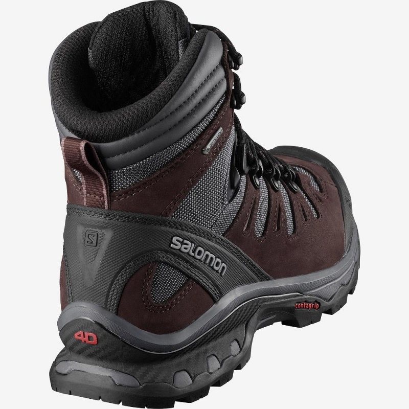 Salomon Quest 4D 3 Gtx W Trekking Gray | GDXL-07562