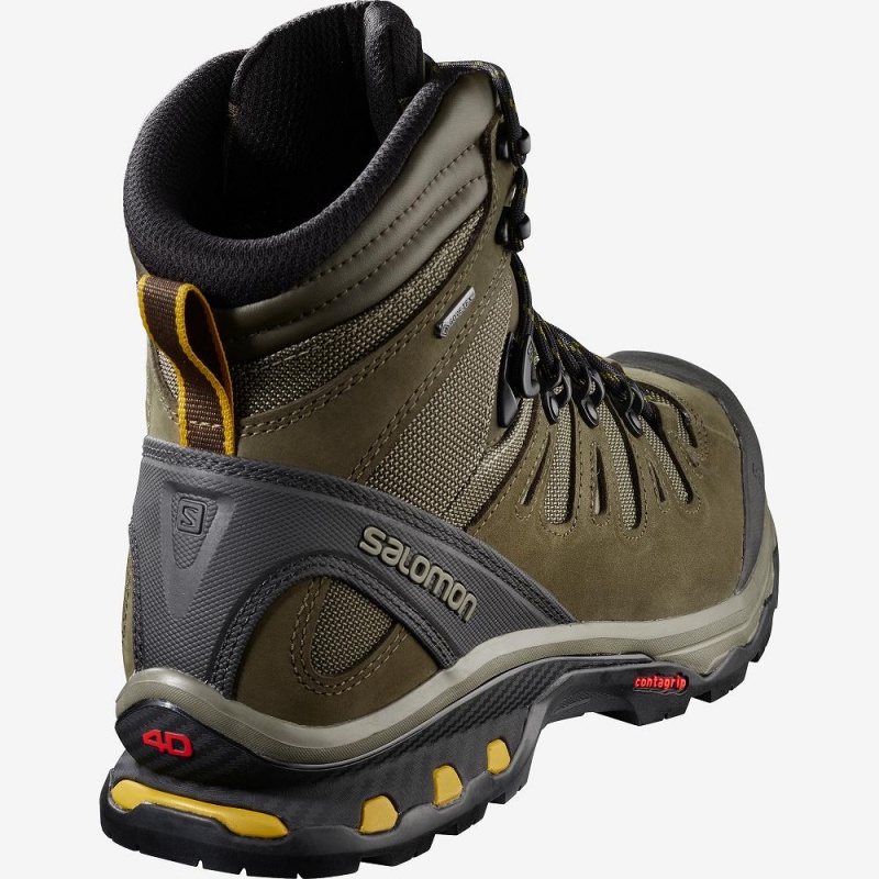 Salomon Quest 4D 3 Gtx Walking Boots Brown | AGTJ-50872