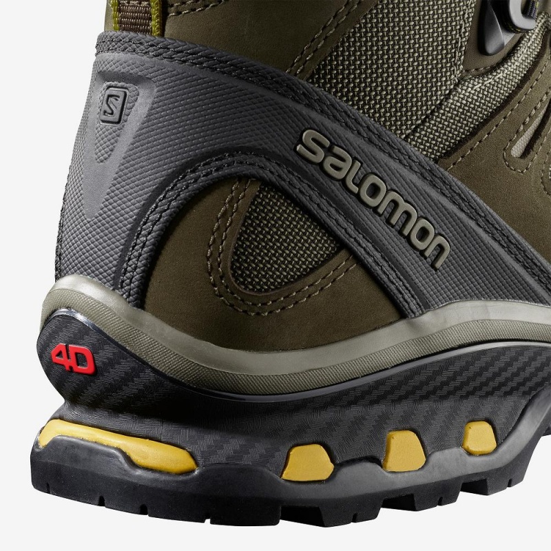 Salomon Quest 4D 3 Gtx Walking Boots Brown | AGTJ-50872