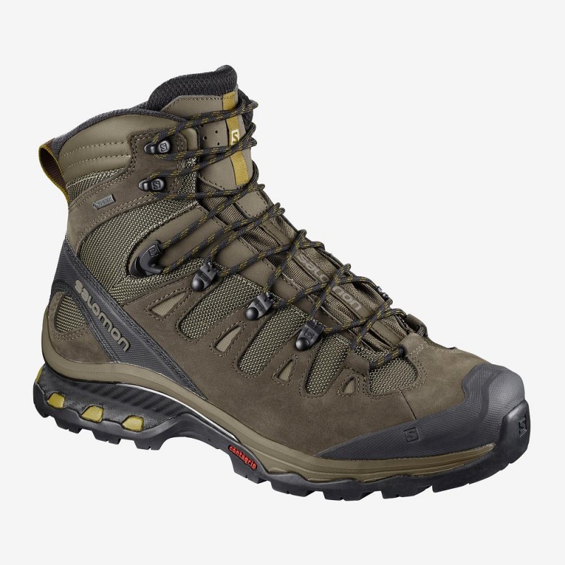 Salomon Quest 4D 3 Gtx Walking Boots Brown | AGTJ-50872