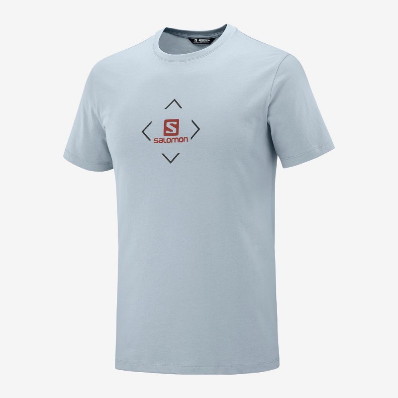 Salomon Salomon Cotton Tee M T Shirts Blue | BWPA-85742