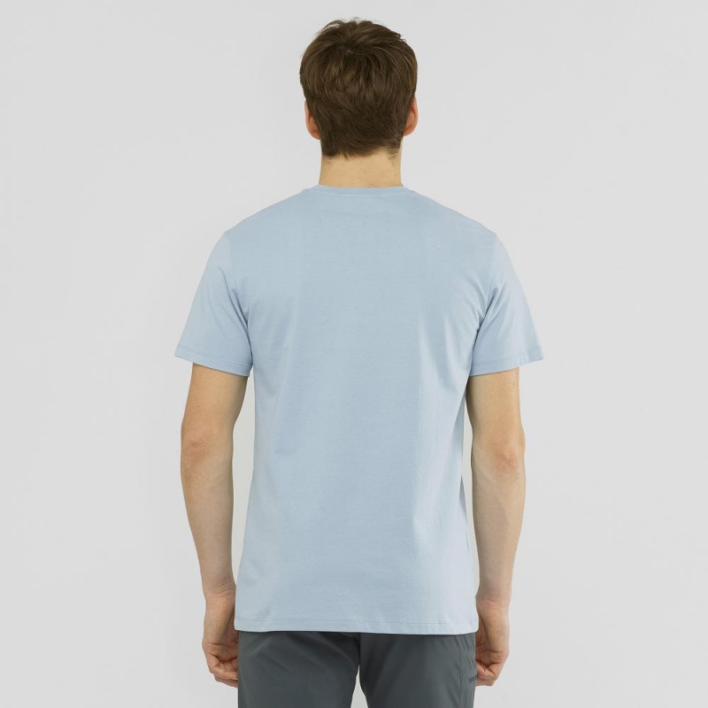 Salomon Salomon Cotton Tee M T Shirts Blue | BWPA-85742