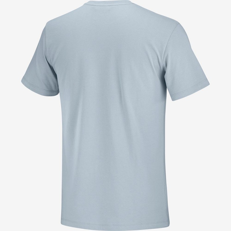 Salomon Salomon Cotton Tee M T Shirts Blue | BWPA-85742