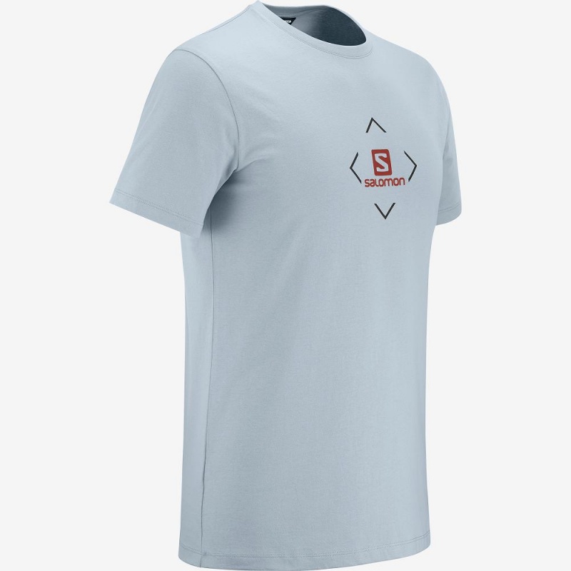 Salomon Salomon Cotton Tee M T Shirts Blue | BWPA-85742