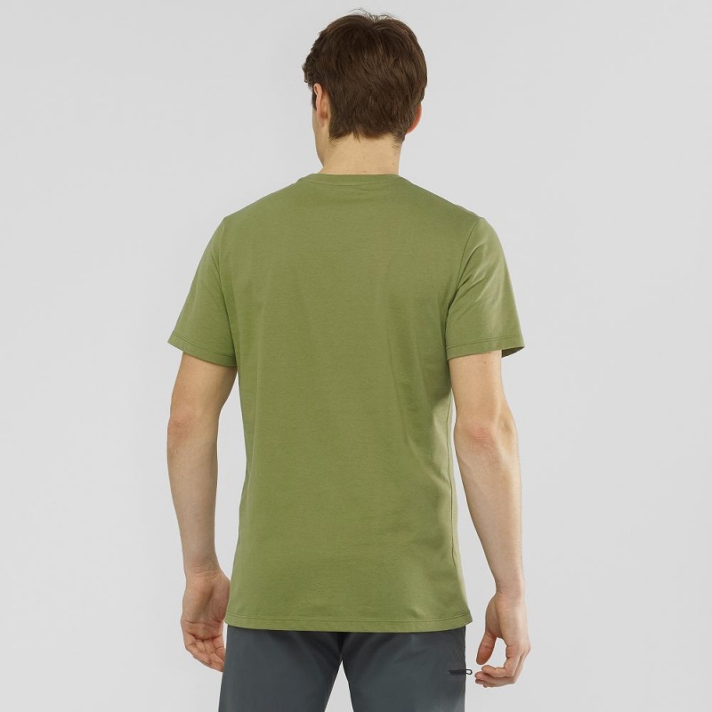 Salomon Salomon Cotton Tee M T Shirts Green | SVIG-10382