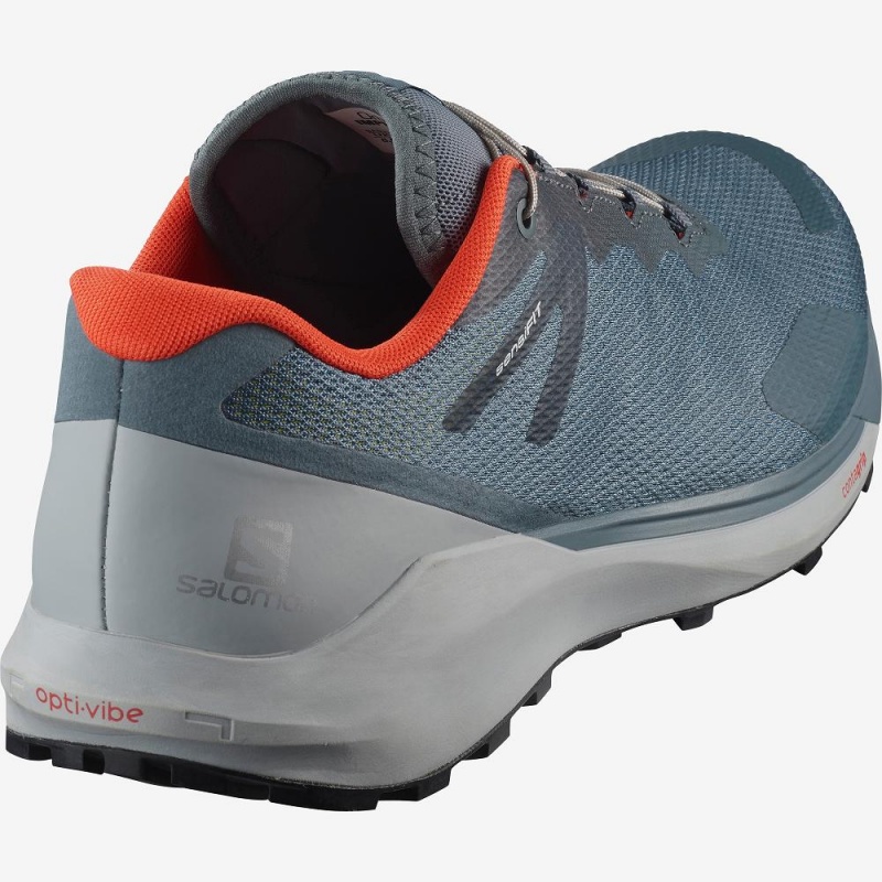 Salomon Sense Ride 3 Trail Running Shoes Gray | VKJX-91075