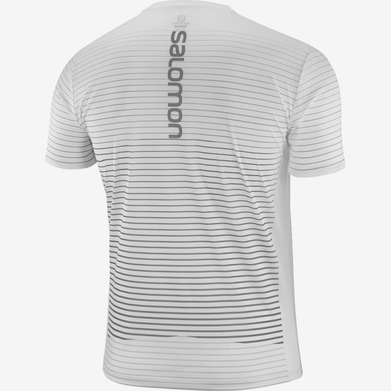 Salomon Sense Tee M Tops White | SZGI-42973