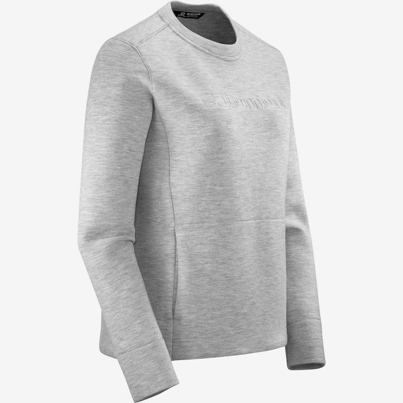 Salomon Sight Crew Neck W Pullover Gray | NUPC-97648