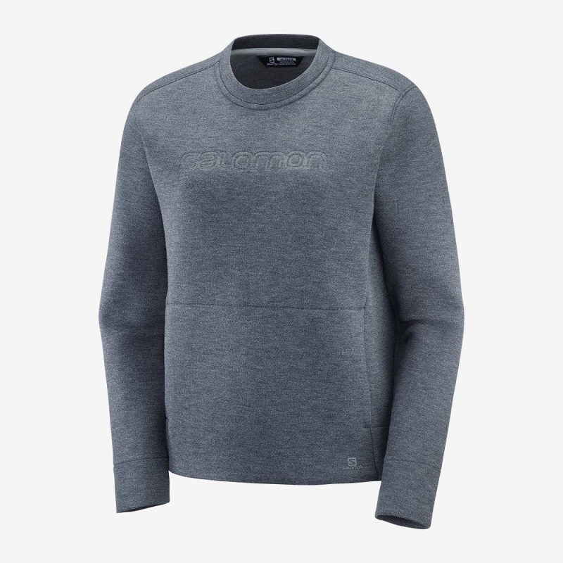 Salomon Sight Crew Neck W Pullover Gray | LRCH-73195